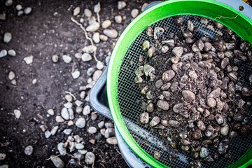 Gravel is cleaned in a garden sieve