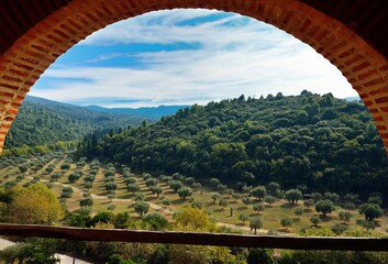 the view out a window at an olive orchard, and with hills in the background