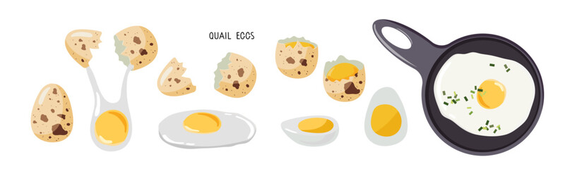 Quail egg set. Raw and boiled eggs food, breakfast eggs with fresh quail eggs on white background. Natural healthy food protein cooking ingredient. Flat design for menu, cafe,cooking class, recipes