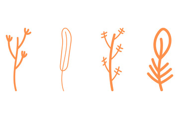 Botanical flower design set. Decorative floral icon