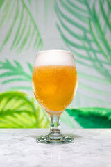 Glass of fresh lager beer on the marble counter.