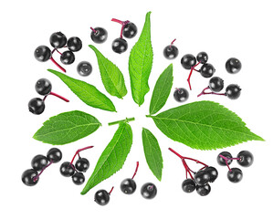 Black elderberry fruits and green leaves isolated on a white background, view from above. Healing berries of Sambucus.
