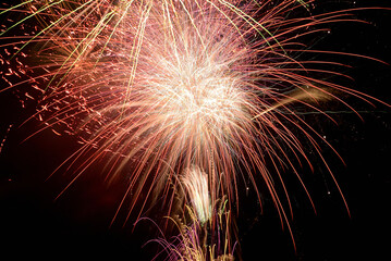 夏の夜空に上がった花火