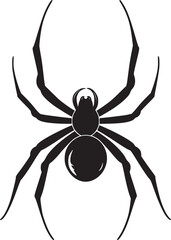 spider silhouette vector