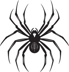 spider silhouette vector