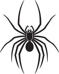 spider silhouette vector
