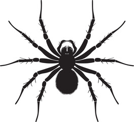 spider silhouette vector