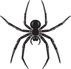 spider silhouette vector