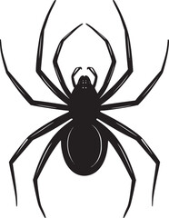 spider silhouette vector