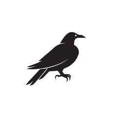Obraz premium Raven in cartoon, doodle style. Image for t-shirt, web, mobile apps and ui. Isolated 2d vector illustration in logo, icon, sketch style, Eps 10. AI Generative