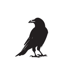 Fototapeta premium Raven in cartoon, doodle style. Image for t-shirt, web, mobile apps and ui. Isolated 2d vector illustration in logo, icon, sketch style, Eps 10. AI Generative