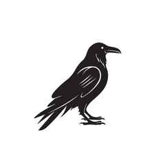 Fototapeta premium Raven w kreskówce, styl bazgrołów. Obraz na koszulkę, stronę internetową, aplikacje mobilne i interfejs użytkownika. Izolowana ilustracja wektorowa 2D w logo, ikonie, stylu szkicu, Eps 10. AI Generative