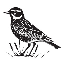 Skylark in cartoon, doodle style. Image for t-shirt, web, mobile apps and ui. Isolated 2d vector illustration in logo, icon, sketch style, Eps 10. AI Generative