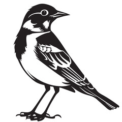 Skylark in cartoon, doodle style. Image for t-shirt, web, mobile apps and ui. Isolated 2d vector illustration in logo, icon, sketch style, Eps 10. AI Generative