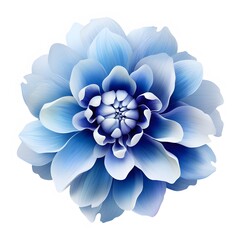 Fototapeta premium Blue dahlia flower isolated on a white background. Generative AI.