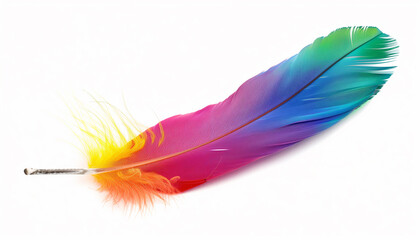 Colorful feathers on a white background