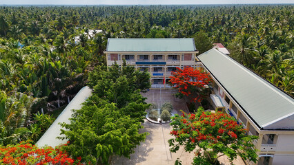 Amazing landscape of Mekong Delta village, school campus with red phoenix flowers tree bloom...