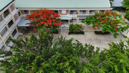 Amazing landscape of Mekong Delta village, school campus with red phoenix flowers tree bloom...