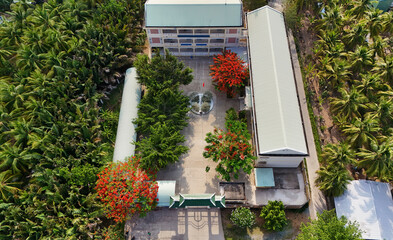 Amazing landscape of Mekong Delta village, school campus with red phoenix flowers tree bloom...