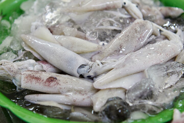 Fresh squid for sale in market
