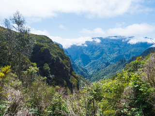 Naklejka premium View of green hills, mountain landscape in clouds at blue sky. and lush vegetation at hiking trail PR12 to Pico Grande one of the highest peaks in the Madeira, Portugal
