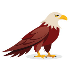 Eagle animal flat vector illustration on white background.