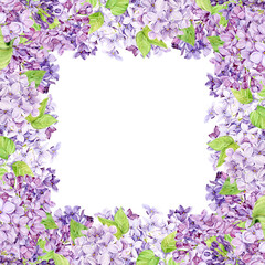 Watercolor frame with purple lilac on a transparent background. Square border of spring flowers in lavender color. Create Provence style wedding invitations, save the date or invitations