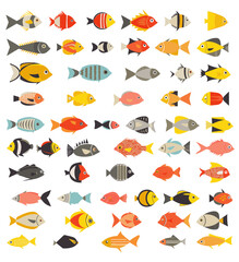 Obraz premium set of icons fish