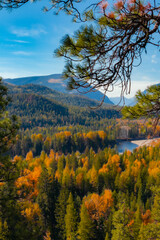 East Kootenay Mountain Scene