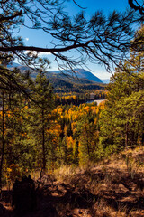 East Kootenay Mountain Scene