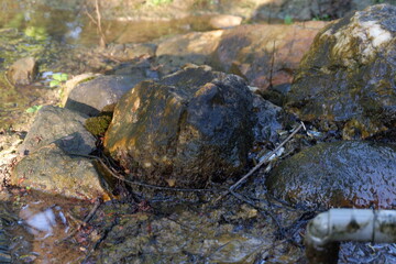 photography of old stone full of moss and crust
