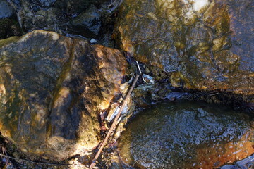 photography of old stone full of moss and crust