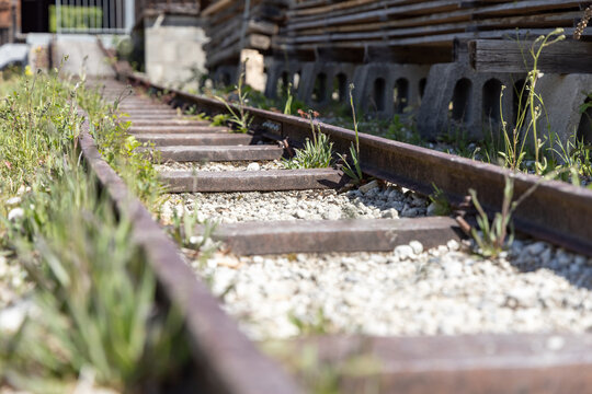 Schienen einer Feldbahn