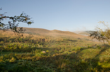 Obraz premium sunrise over the field in brazil