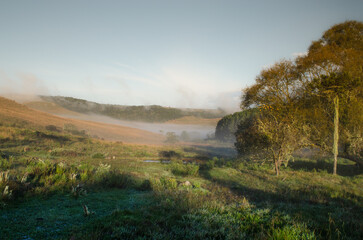 sunrise over the field in brazil