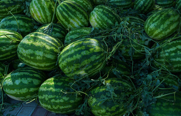 Roadside melon watermelon market
