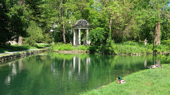 Jardin botanique de l'Arquebuse, dans la ville de Dijon, en C&ocirc;te d&rsquo;Or / Bourgogne, vue sur les arbres de l&rsquo;arboretum se refl&eacute;tant dans l&rsquo;eau, avec des canards sur la pelouse verte du parc (France)