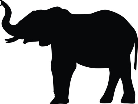 recommend clip art: Silhouette of an elephant isolated on white. Illustration of elephant animal in wildlife