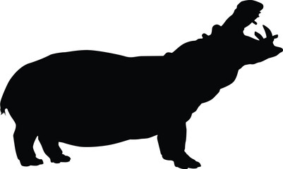 Silhouette of a hippo isolated on white. Illustration of hippopotalamus animal in wildlife
