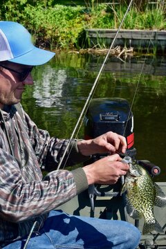 Spring panfish
