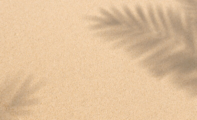 Sand texture background with palm leaves silhouette,Coconut leaf Shadow on Brown Sandy Beach,Top...