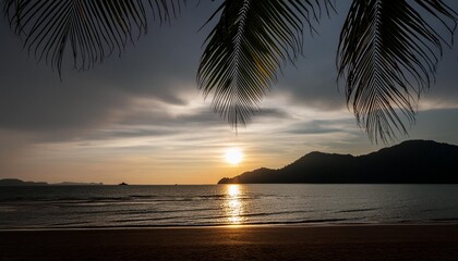 silhouette of palm tree leaves beautiful sunset on the tropical sea beach in langkawi malaysia