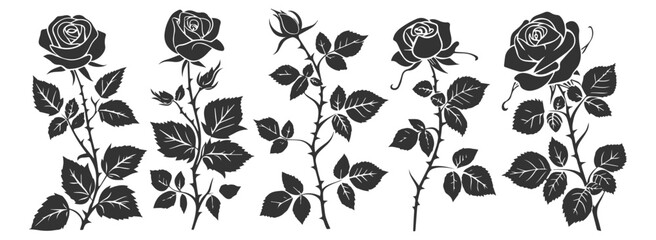 Collection of decorative roses with leaves, depicted as black silhouette vector icons.