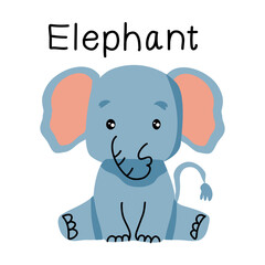 Cute baby elephant on white 
