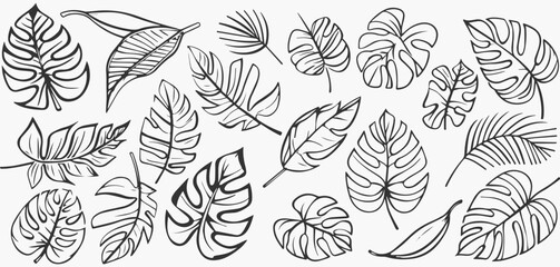 Tropical leaves depicted in doodle style, featuring hand-drawn black line design elements. Exotic summer botanical illustrations include Monstera leaves, palm, and banana leaf.