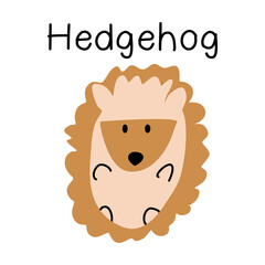 Cute hedgehog on white 
