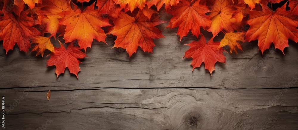 Poster an image featuring a border of maple leaves with empty space in the center for copy