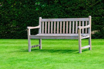 white bench in the park