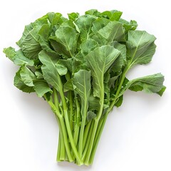 Fresh Chinese Broccoli A Nutritious and Versatile Green Vegetable
