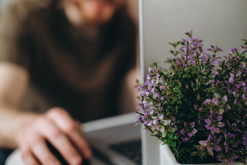 A man works on a laptop in a room, focus on the vase with flowers.